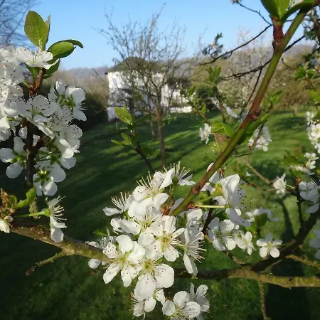 Bed & Breakfast Chambres D'hotes Au Moulin D'apach 4*